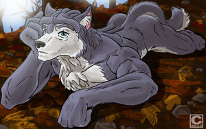 Fall Weather by profec