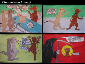 Circumcision Attempt on a Meerkat Cub by moyomongoose