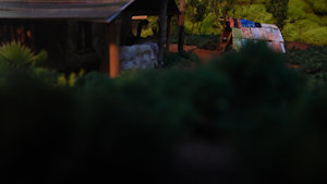 Meerkat Family's Home in Angola by moyomongoose