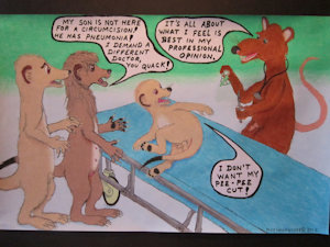 Attempted Circumcision on a Meerkat Cub - Revised Drawings [Page 10] by moyomongoose