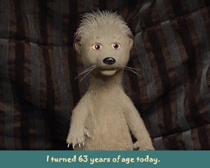 I am 63 Years of Age Today by moyomongoose