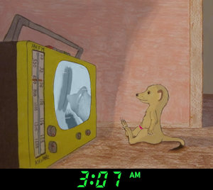 Raphael Meerkat Watching a Naughty Late Night Show by moyomongoose