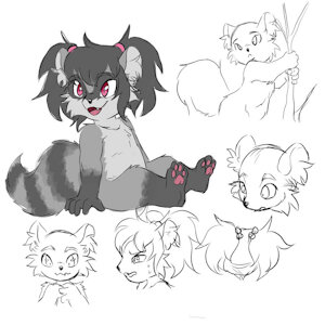Coon by oviicula19