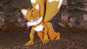 Sonic's Wild Hunt: Tails by Sonicthebitch