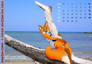 Fox Calendar 2021 - September by Micke