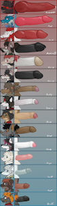 Cock Chart 2021 by FeAtherNet
