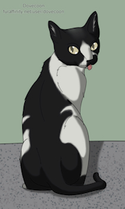 Sitting kitty by dovecoon