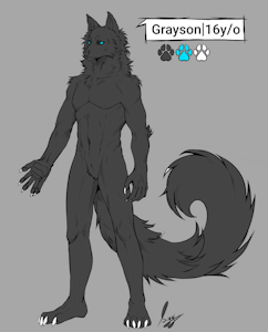 Grayson character sheet. by Eclipsedown