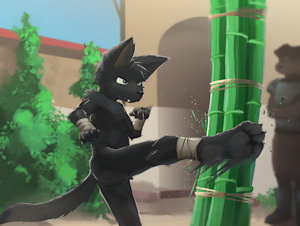 Training by DakkaWoof