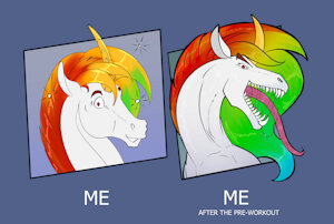 Kadaus workout by equine666