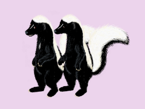 A Couple of Cute Skunks by moyomongoose
