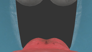 Candy Cat's Mouth Cam by Pillowcatfan2025