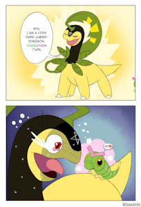NicoExplain by Nicobay
