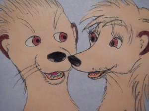 Valentine's Day 2014, Moyo and Jamila Mongoose [Page 2] by moyomongoose