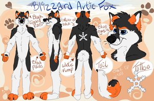 Ref Sheet by blizzyfox