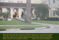 The Convalescent Home by moyomongoose