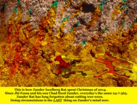 Altered Way of Life for Zander Rat - والحياة غيرت لزاندر الجرذ [Page 17] by moyomongoose