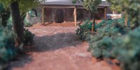 Meerkats Hard Way of Life in Angola [Page 24] by moyomongoose
