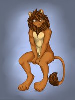 Lion stuff by KolewazakiSan