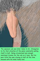 Dr. Rat Circumcises a Opossum Cub [Page 14] by moyomongoose