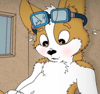 "The little pilot" by nelson88