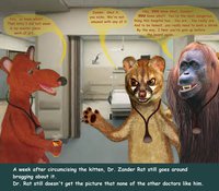 Dr. Rat Circumcises a Kitten [Page 42] by moyomongoose