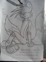 Sitting Tails by KelperFoxWolf