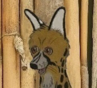 Character Pictures [Page 2] by moyomongoose