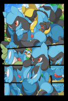 Riolu Yiff 4 by Tricksta