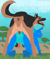 Dog Park Fun (Colored) by TheBlueBunnyKen