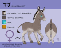Ref-Shett "Tj" - by Lichfang by Nightdancer