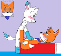 Wolf and Fox by Commando672