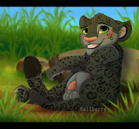 Itchy Panther by Hailberry