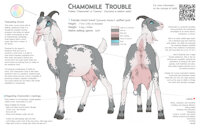Chamomile Refsheet by Unicorn