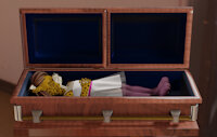 Lucy's funeral by BryanX