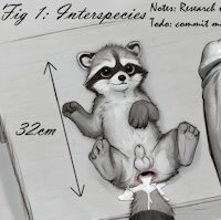 Racoon Number 3: Bernard (link in description) by threeracoons