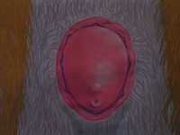 A Mishap at the Sex Magazine Studio [Page 21] by moyomongoose