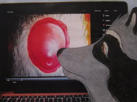 A Mishap at the Sex Magazine Studio [Page 22] by moyomongoose