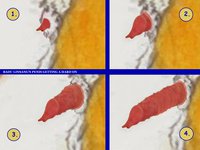 A Mishap at the Sex Magazine Studio [Page 11] by moyomongoose