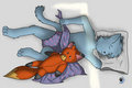snoozin kitteh by lepkitty