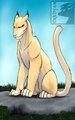 Random Cat by Erkhyan