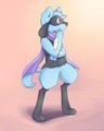 Danny the Riolu by ChurroShiba