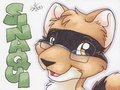 Light Badge - Sinaqui by Sinaqui