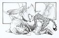 Hentai: Dash x Lear by DashtheCheetah