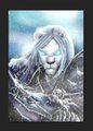 White lion Arthas