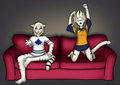 Commission: The Hockey Match