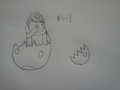 Hatching bui by DanielRainer