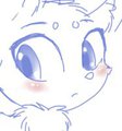 Fox Fox