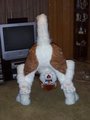 New Submission by JaseHuskycurl