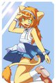 528491